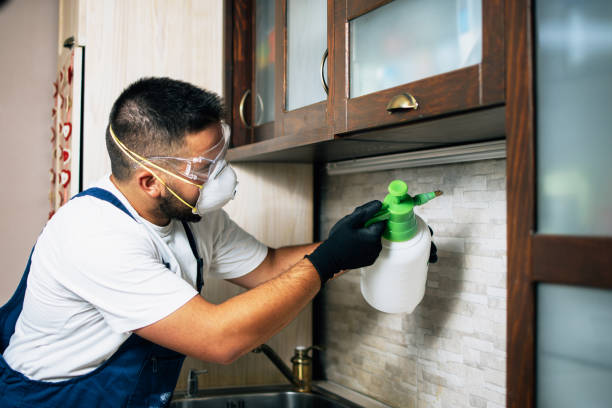 Best Mosquito Control Services  in Tunkhannock, PA