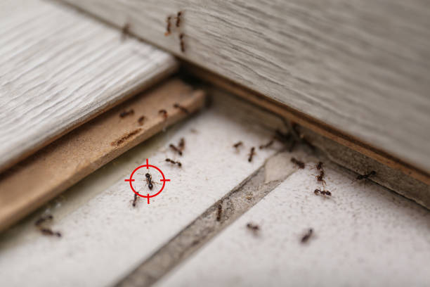 Best Commercial Pest Control Services  in Tunkhannock, PA
