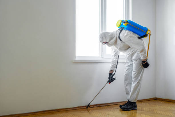 Best Best Pest Control Companies  in Tunkhannock, PA