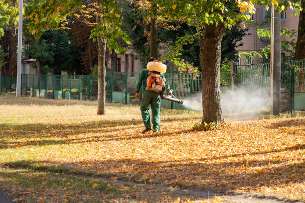 Pest Control for Restaurants in Tunkhannock, PA