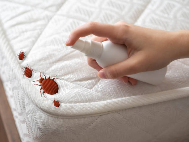 Best Pest Control Near Me  in Tunkhannock, PA