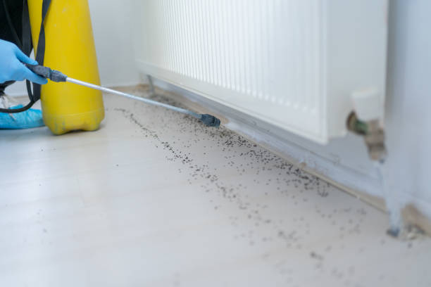 Reliable Tunkhannock, PA Pest Control Solutions